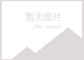 兴山区惜雪建筑有限公司